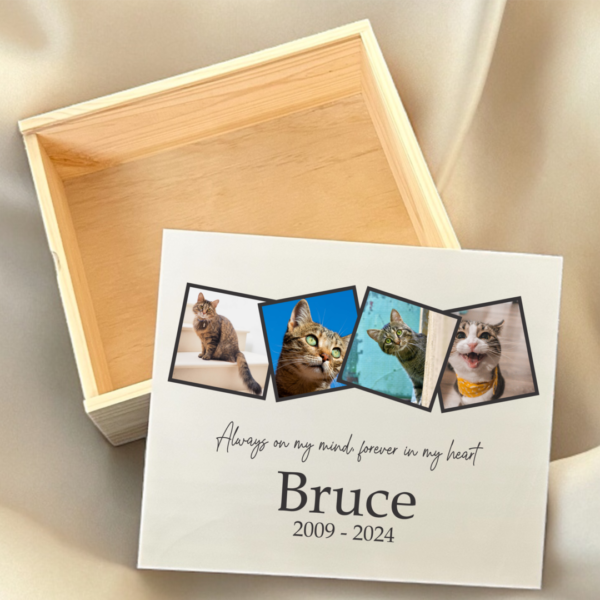 pet memorial box